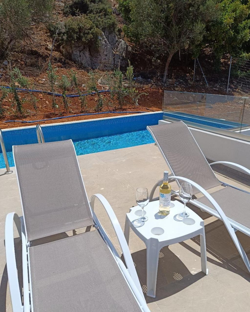 Isabel Artemis Crete - Luxury Sea Views Villas Nopigia Dış mekan fotoğraf